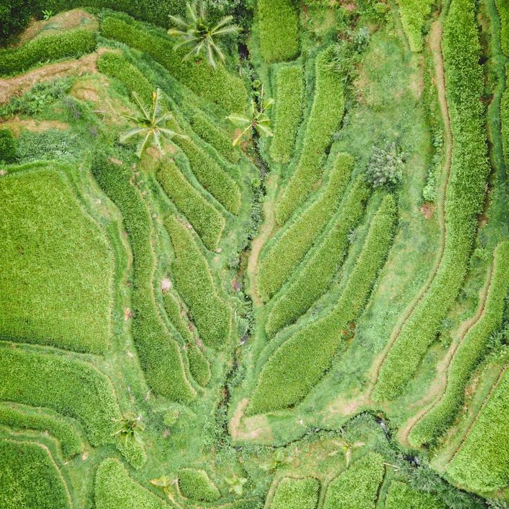 Family terraces and cafés for calm evenings in Barcelona